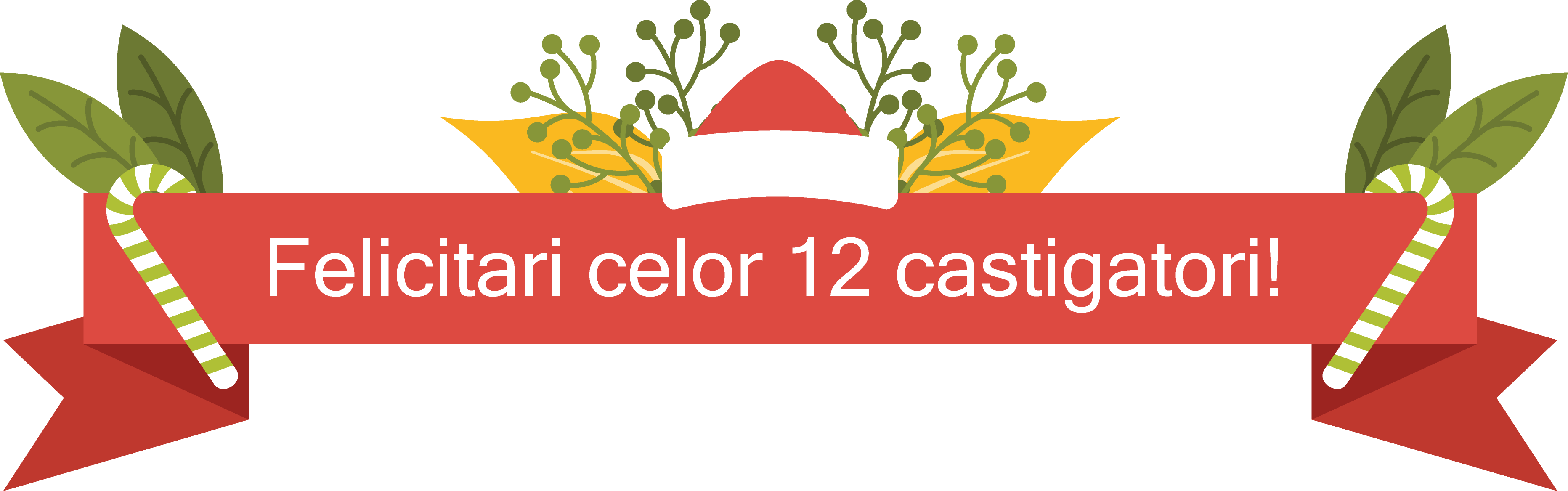 Felicitari primilor 6 castigatori!